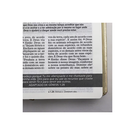 BÍBLIA ESTUDO NVI JM - SALMÃO - LETRA GRANDE