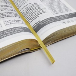 BÍBLIA ESTUDO NVI JM - SALMÃO - LETRA GRANDE