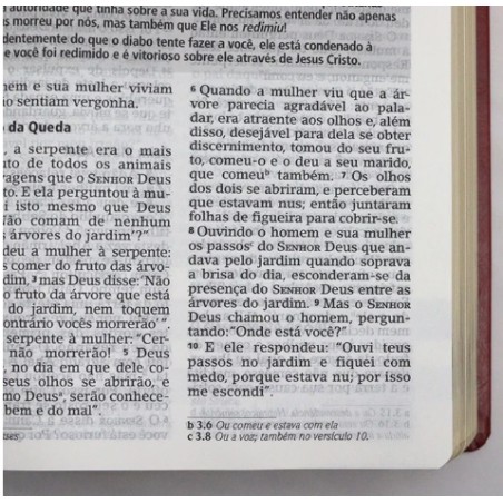 Bíblia de estudo Joyce Meyer letra grande - capa luxo vermelho