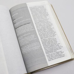 Bíblia De Estudo Joyce Meyer Letra Grande Mostarda