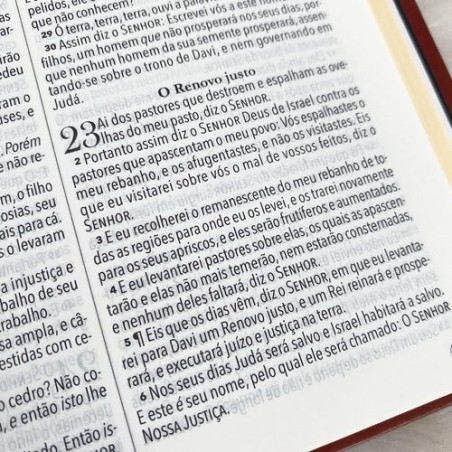 Bíblia King James 1611 - ampliada - letra gigante - capa ultra-fina - luxo castanho