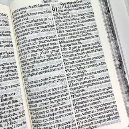 Bíblia RC Letra Jumbo - Harpa Avivada E Corinhos - Capa Dura Jardim Primavera
