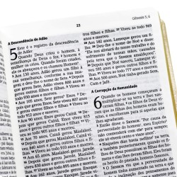 Bíblia de Estudo. A Bíblia da Vida Diária - Dourada