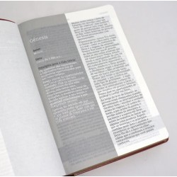 Bíblia de estudo Joyce Meyer com letra grande Capa flexível na cor salmão e beiras douradas