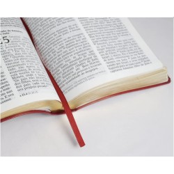 Bíblia de estudo Joyce Meyer com letra grande Capa flexível na cor salmão e beiras douradas