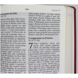 Bíblia de estudo Joyce Meyer com letra grande Capa flexível na cor salmão e beiras douradas