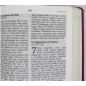 Bíblia de estudo Joyce Meyer com letra grande Capa flexível na cor salmão e beiras douradas