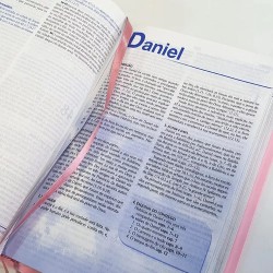 Bíblia De Estudo Linguagem De Hoje Feminina Ntlh - Rosa