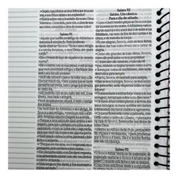 BÍBLIA ANOTE NVI LETRA GRANDE - PÚRPURA