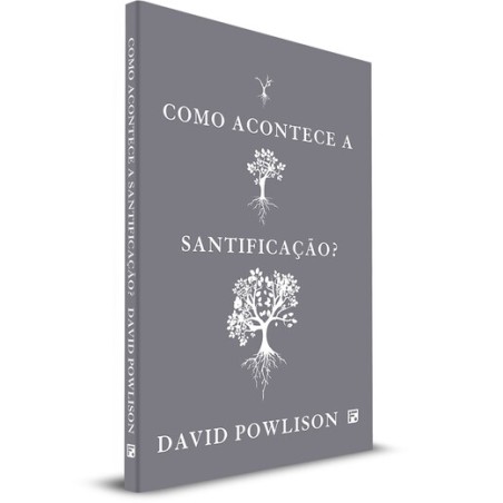 Como Acontece a Santificação