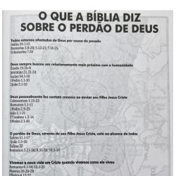 Bíblia Sagrada infantil NTLH Capa dura leão