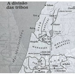 Bíblia Sagrada infantil NTLH Capa dura leão